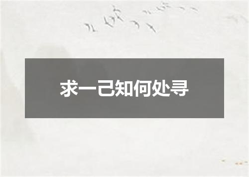 求一己知何处寻