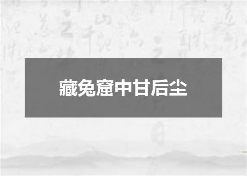 藏兔窟中甘后尘