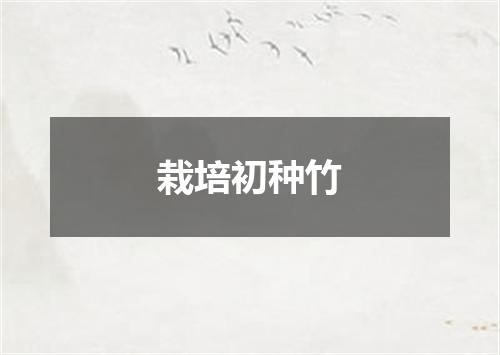 栽培初种竹