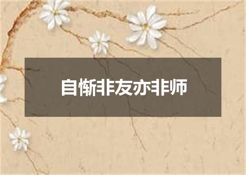 自惭非友亦非师
