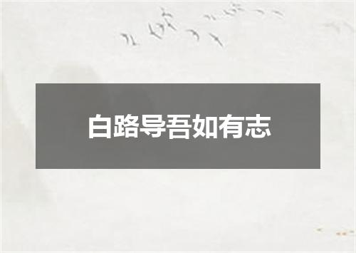 白路导吾如有志
