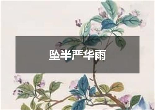 坠半严华雨