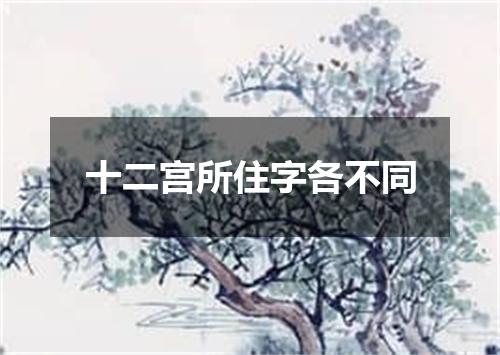 十二宫所住字各不同
