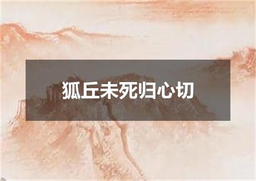 狐丘未死归心切