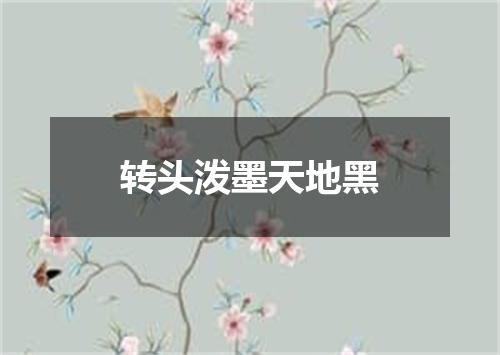 转头泼墨天地黑