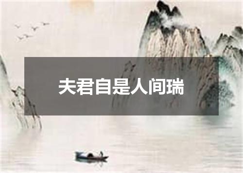 夫君自是人间瑞