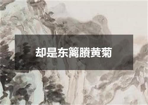 却是东篱賸黄菊