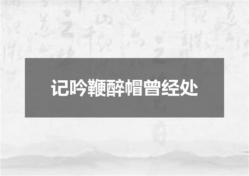 记吟鞭醉帽曾经处