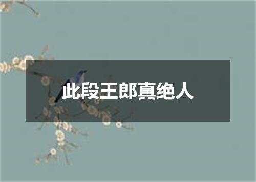 此段王郎真绝人