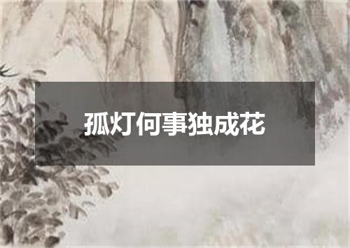 孤灯何事独成花