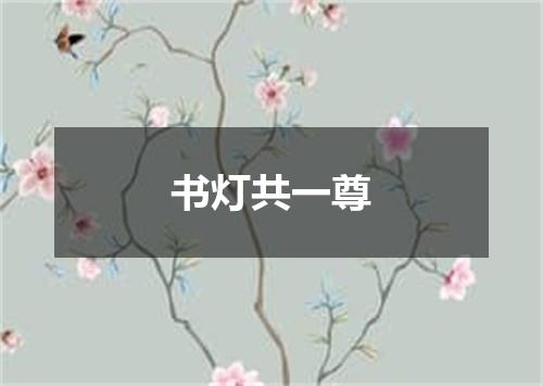 书灯共一尊