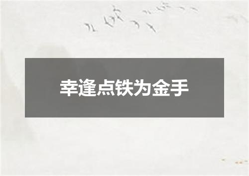 幸逢点铁为金手