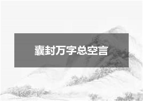 囊封万字总空言