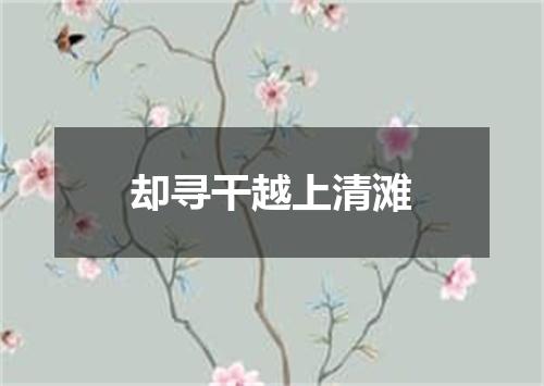 却寻干越上清滩