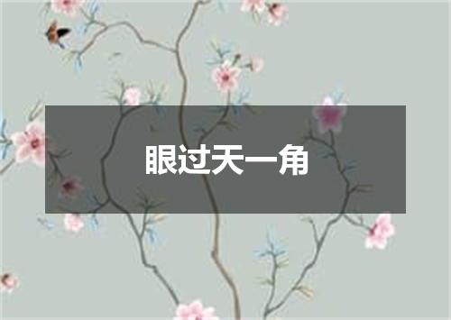 眼过天一角
