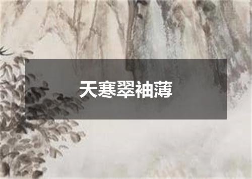 天寒翠袖薄