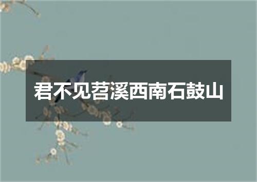 君不见苕溪西南石鼓山