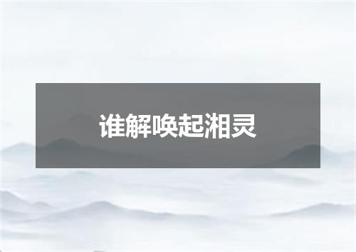 谁解唤起湘灵