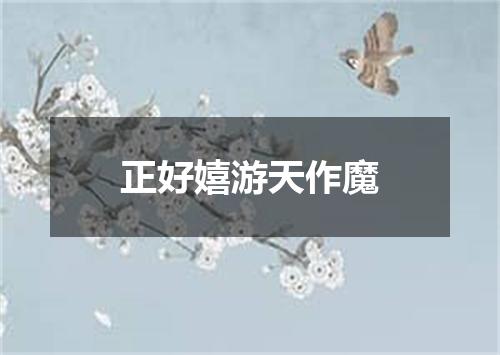 正好嬉游天作魔