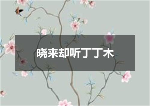 晓来却听丁丁木