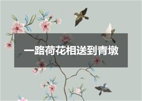 一路荷花相送到青墩