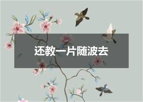 还教一片随波去