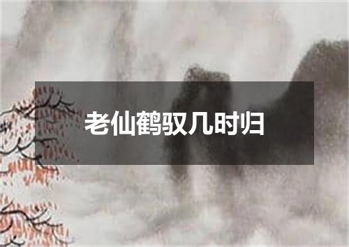 老仙鹤驭几时归