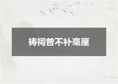 祷祠曾不补毫厘