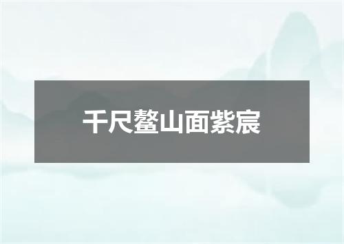 千尺鳌山面紫宸