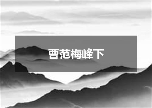曹范梅峰下