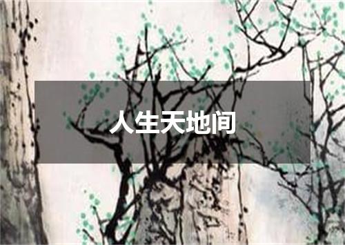 人生天地间