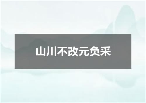 山川不改元负采