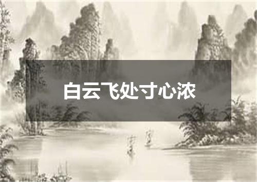 白云飞处寸心浓