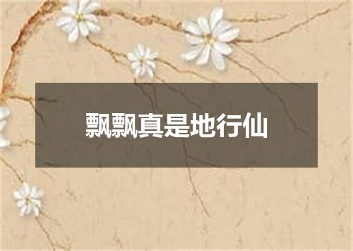 飘飘真是地行仙