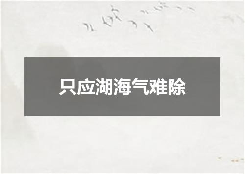 只应湖海气难除