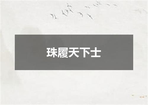 珠履天下士