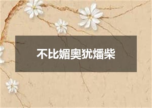 不比媚奥犹燔柴