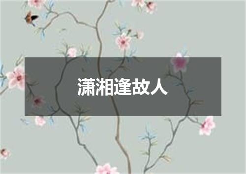 潇湘逢故人