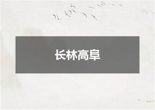 长林高阜