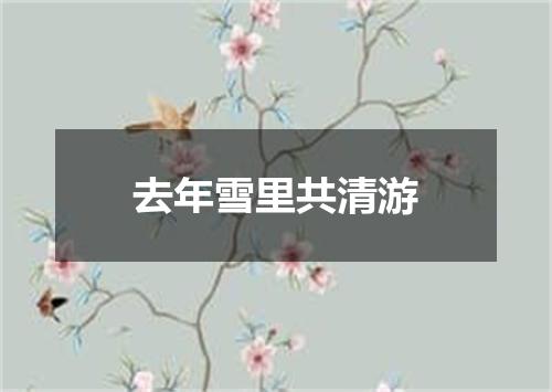 去年雪里共清游