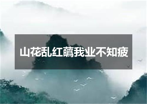 山花乱红蘤我业不知疲