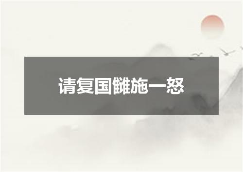 请复国雠施一怒