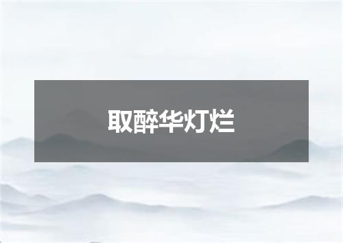 取醉华灯烂