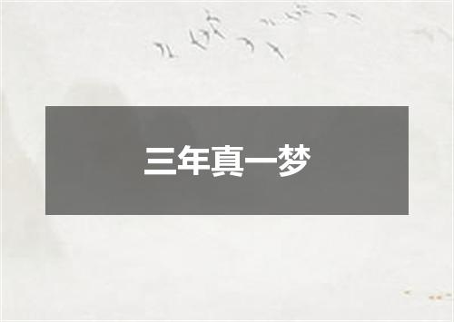 三年真一梦