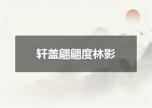 轩盖翩翩度林影
