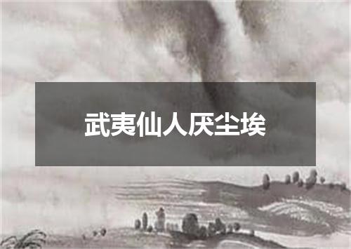 武夷仙人厌尘埃