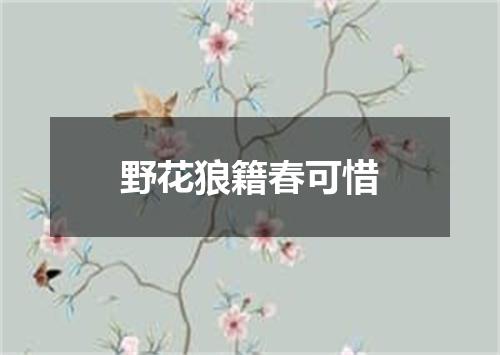 野花狼籍春可惜