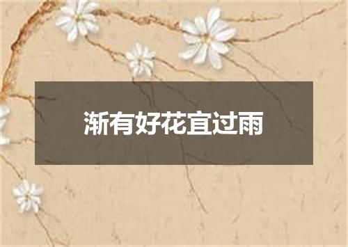 渐有好花宜过雨