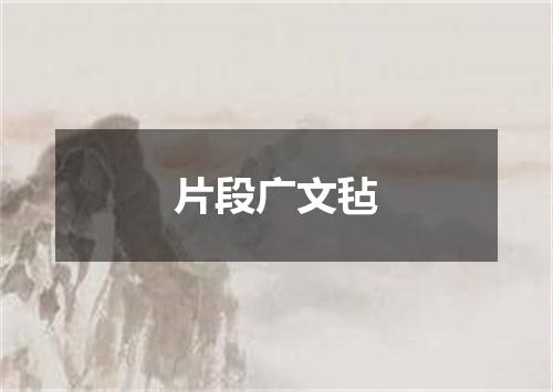 片段广文毡
