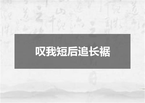 叹我短后追长裾